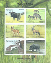 Animal Series II