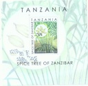 Spice Tree of Zanzibar