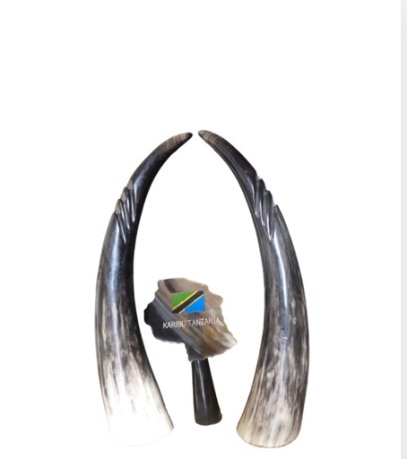 Tanzania Cow Horn