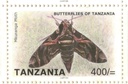 Butterflies Of Tanzania